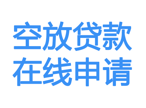 新余空放借款申请